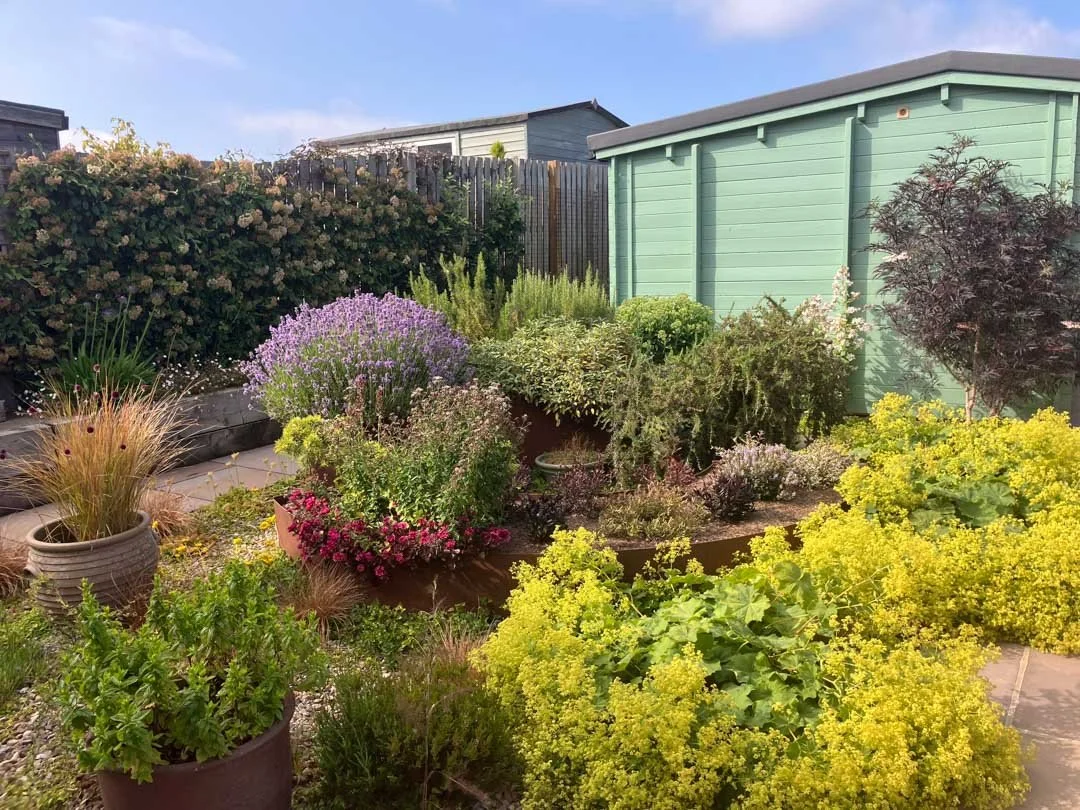 artists-garden-berwick-9.jpg