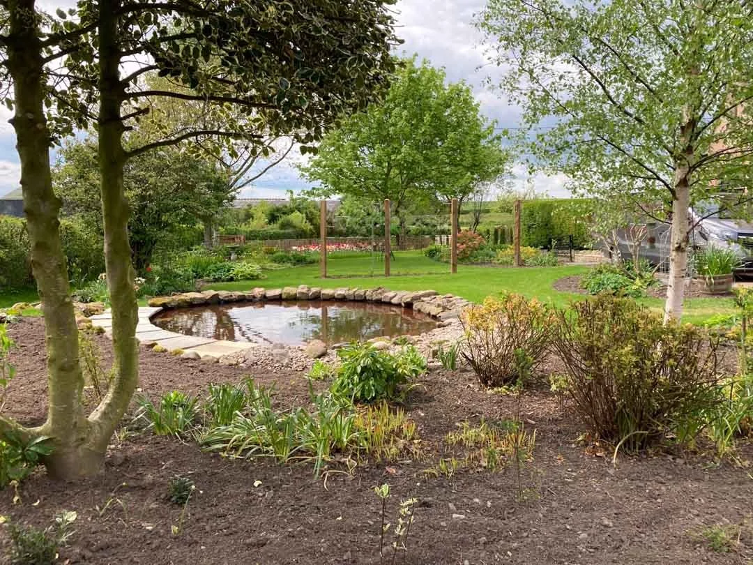 gravel-drive-replant-remodelled-vegetable-fruit-trees-garden-sandstone-patio-rose-arbour-55.jpg