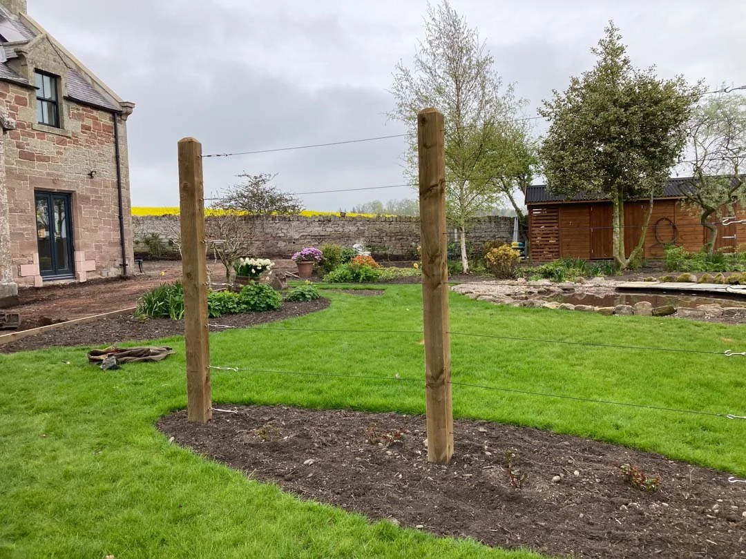 gravel-drive-replant-remodelled-vegetable-fruit-trees-garden-sandstone-patio-rose-arbour-52.jpg