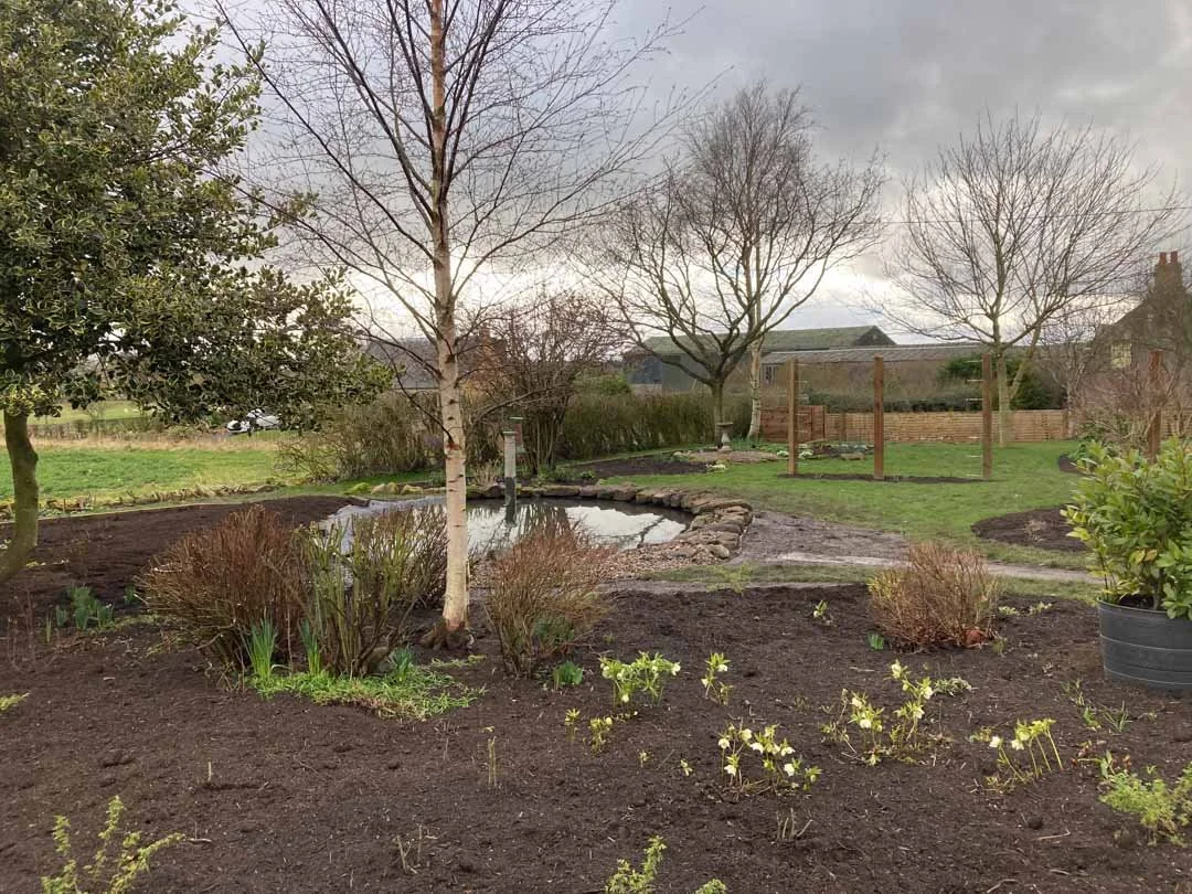 gravel-drive-replant-remodelled-vegetable-fruit-trees-garden-sandstone-patio-rose-arbour-44.jpg
