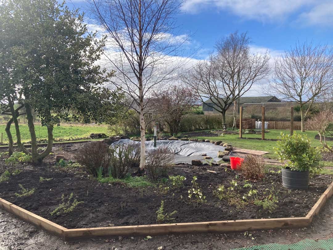 gravel-drive-replant-remodelled-vegetable-fruit-trees-garden-sandstone-patio-rose-arbour-42.jpg