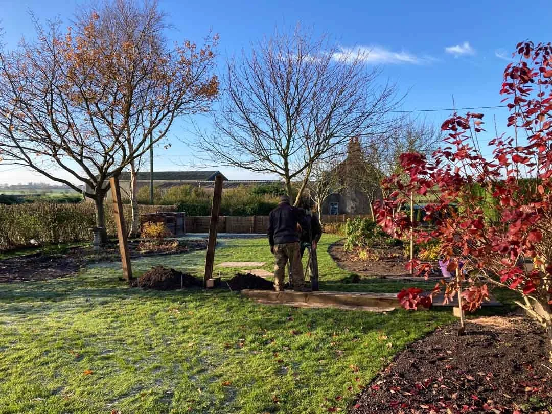 gravel-drive-replant-remodelled-vegetable-fruit-trees-garden-sandstone-patio-rose-arbour-39.jpg