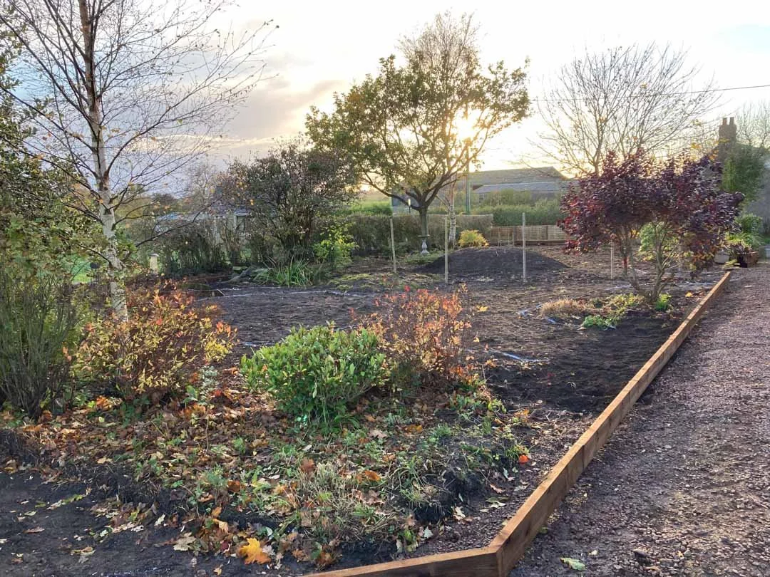 gravel-drive-replant-remodelled-vegetable-fruit-trees-garden-sandstone-patio-rose-arbour-29.jpg