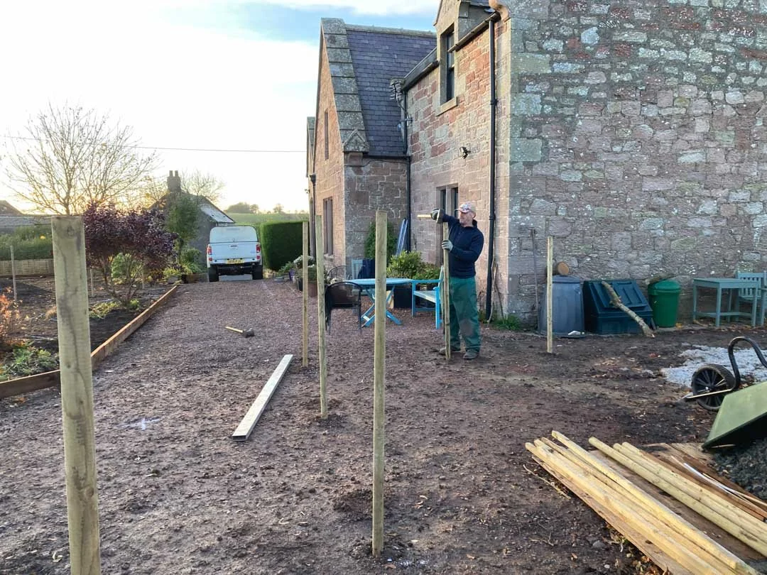 gravel-drive-replant-remodelled-vegetable-fruit-trees-garden-sandstone-patio-rose-arbour-27.jpg
