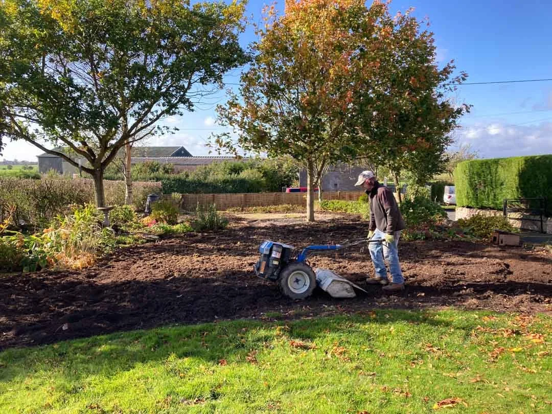 gravel-drive-replant-remodelled-vegetable-fruit-trees-garden-sandstone-patio-rose-arbour-18.jpg