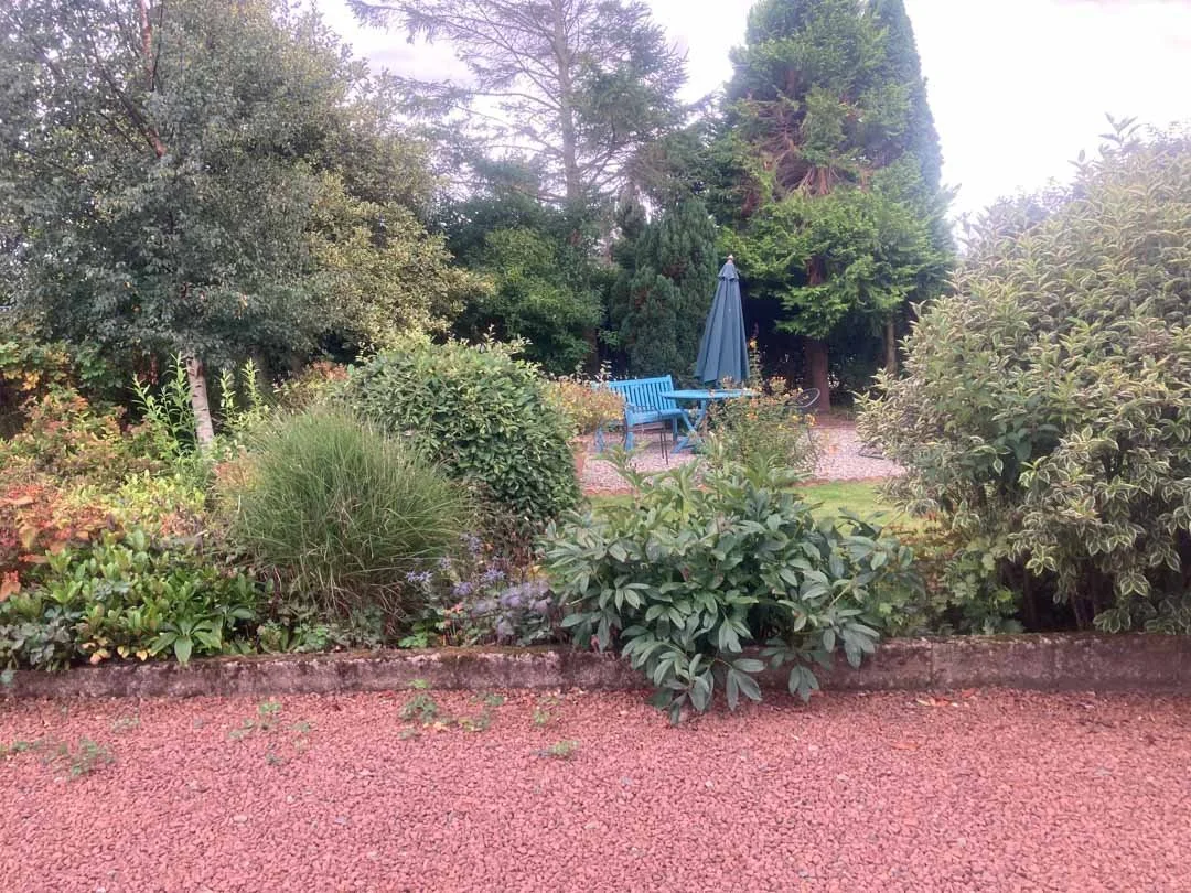 gravel-drive-replant-remodelled-vegetable-fruit-trees-garden-sandstone-patio-rose-arbour-2.jpg