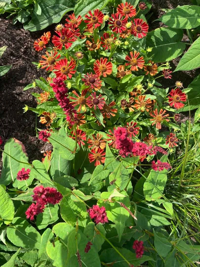 inspiration-garden-own-creative-design-experimentation-101.jpg