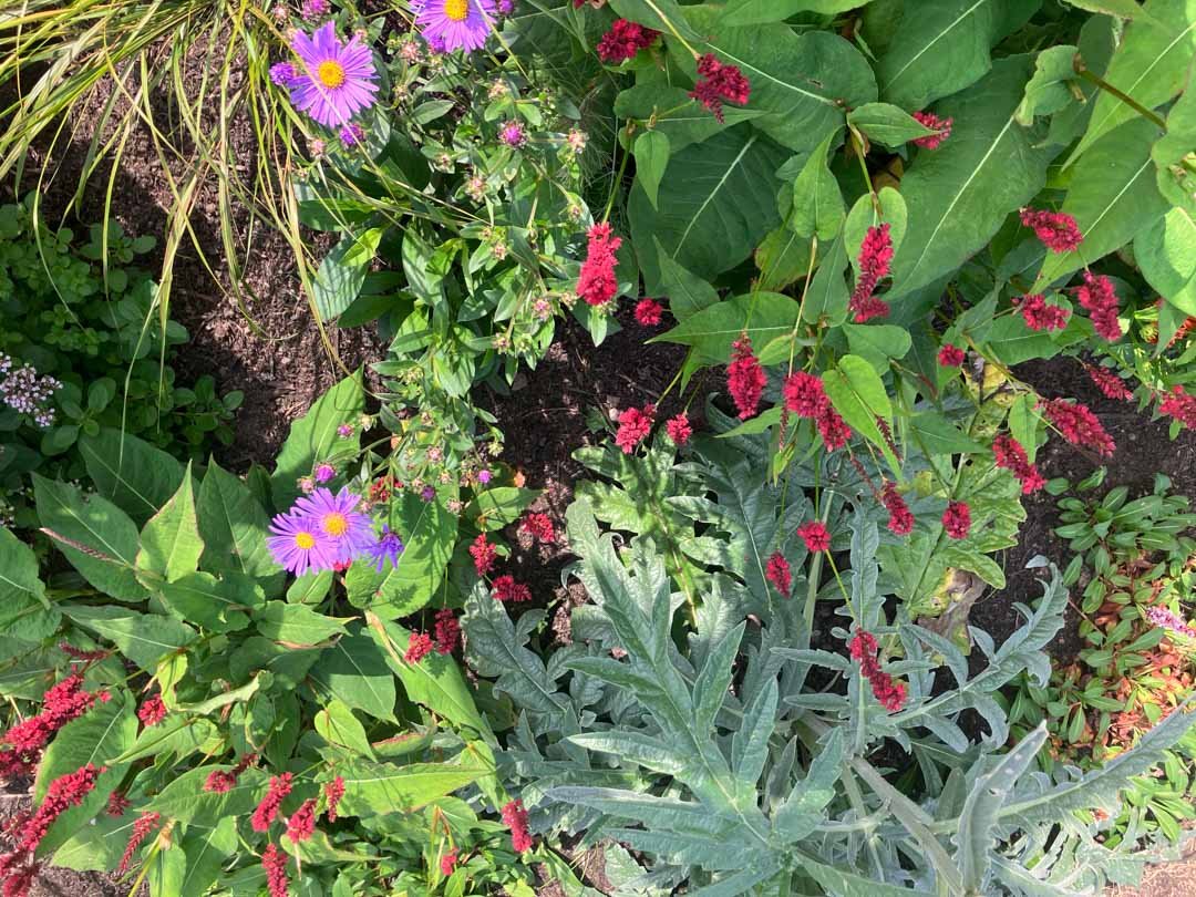 inspiration-garden-own-creative-design-experimentation-102.jpg