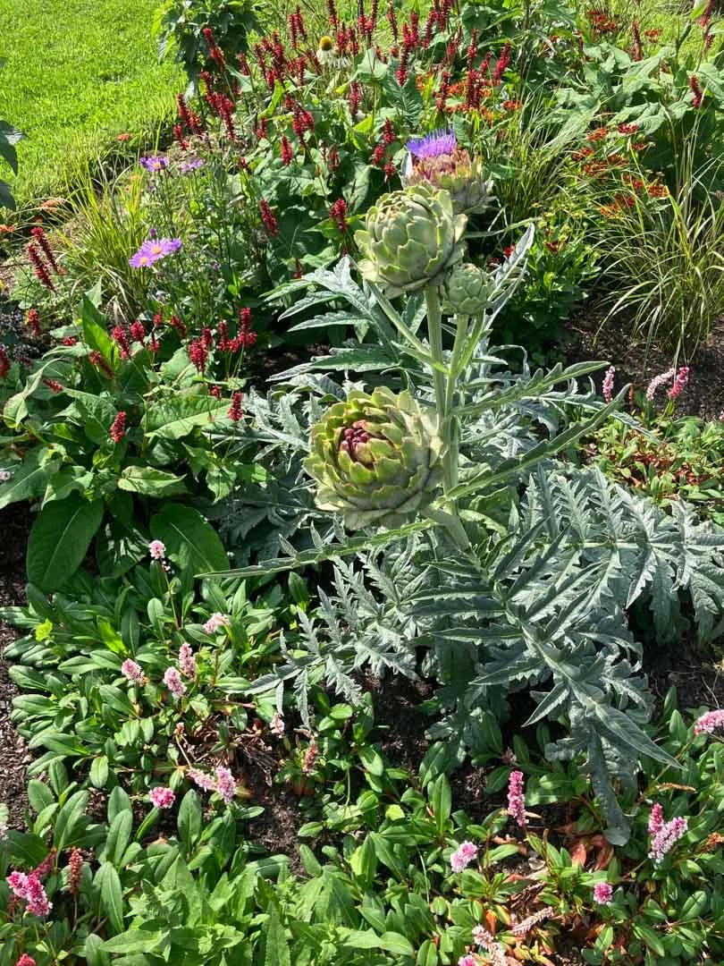 inspiration-garden-own-creative-design-experimentation-100.jpg