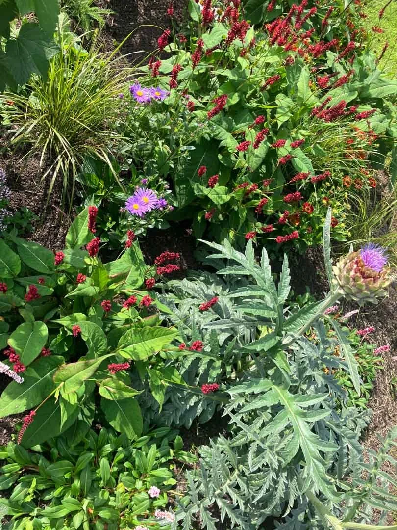 inspiration-garden-own-creative-design-experimentation-99.jpg