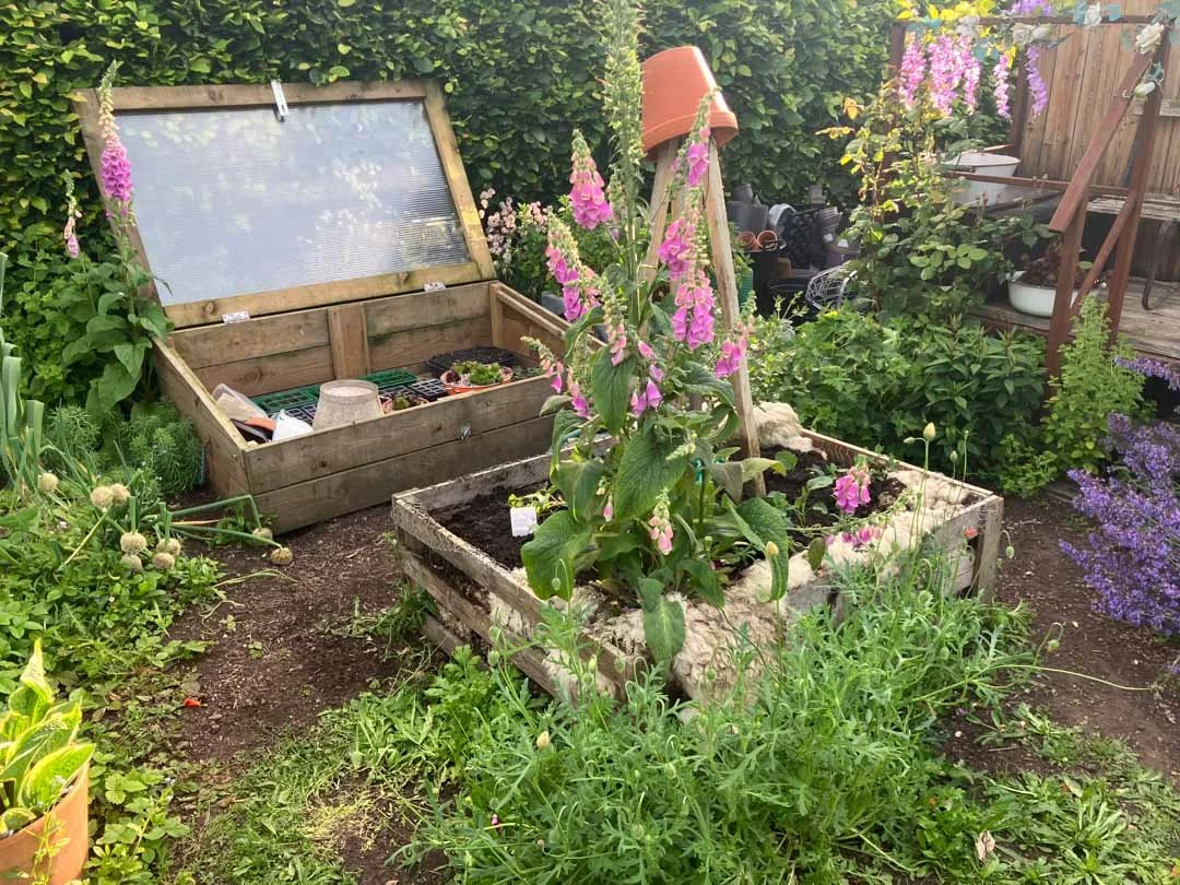 inspiration-garden-own-creative-design-experimentation-95.jpg