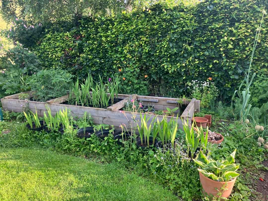 inspiration-garden-own-creative-design-experimentation-94.jpg