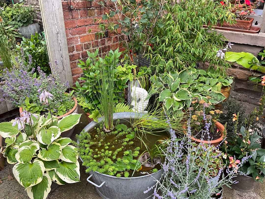 inspiration-garden-own-creative-design-experimentation-81.jpg