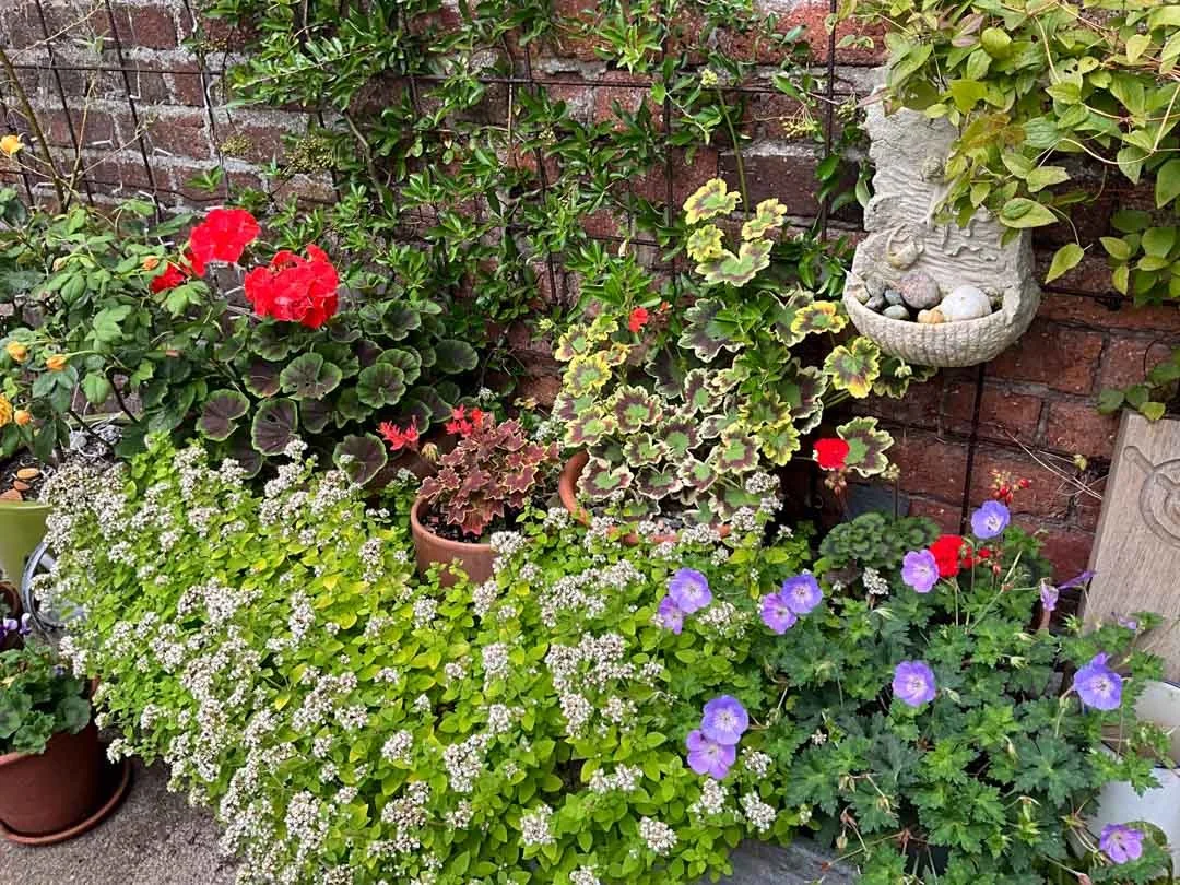 inspiration-garden-own-creative-design-experimentation-80.jpg