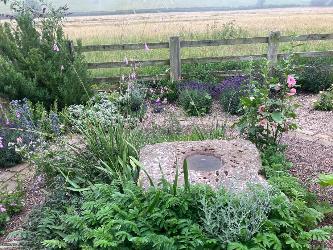 inspiration-garden-own-creative-design-experimentation-62.jpg