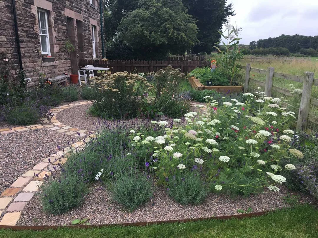 inspiration-garden-own-creative-design-experimentation-31.jpg