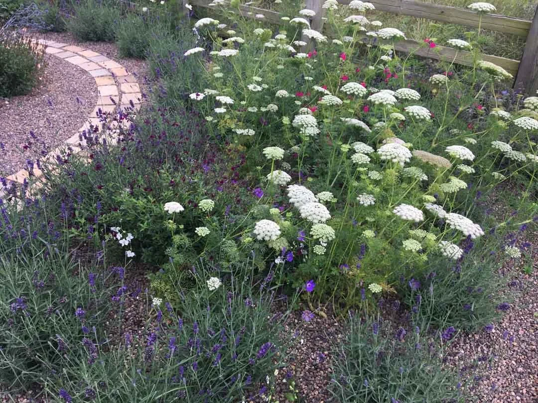 inspiration-garden-own-creative-design-experimentation-30.jpg