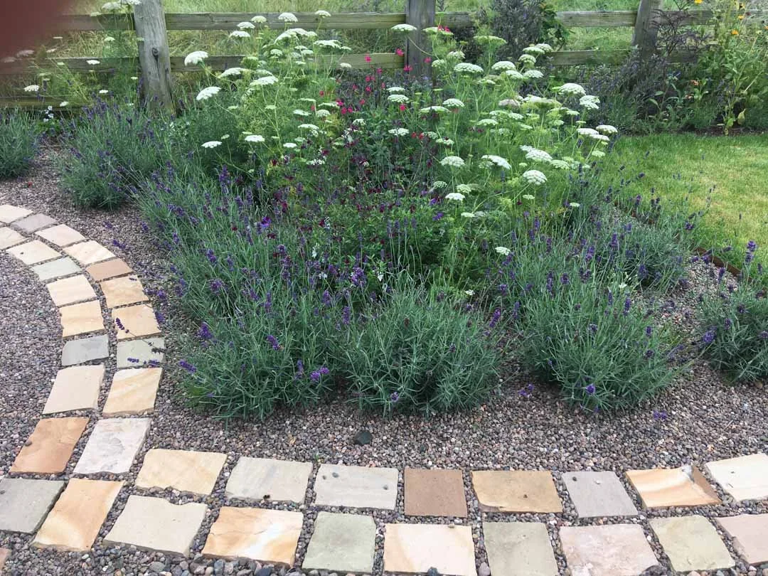 inspiration-garden-own-creative-design-experimentation-29.jpg