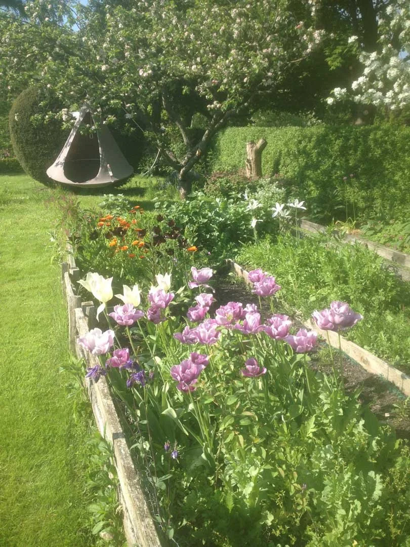 inspiration-garden-own-creative-design-experimentation-2.jpg