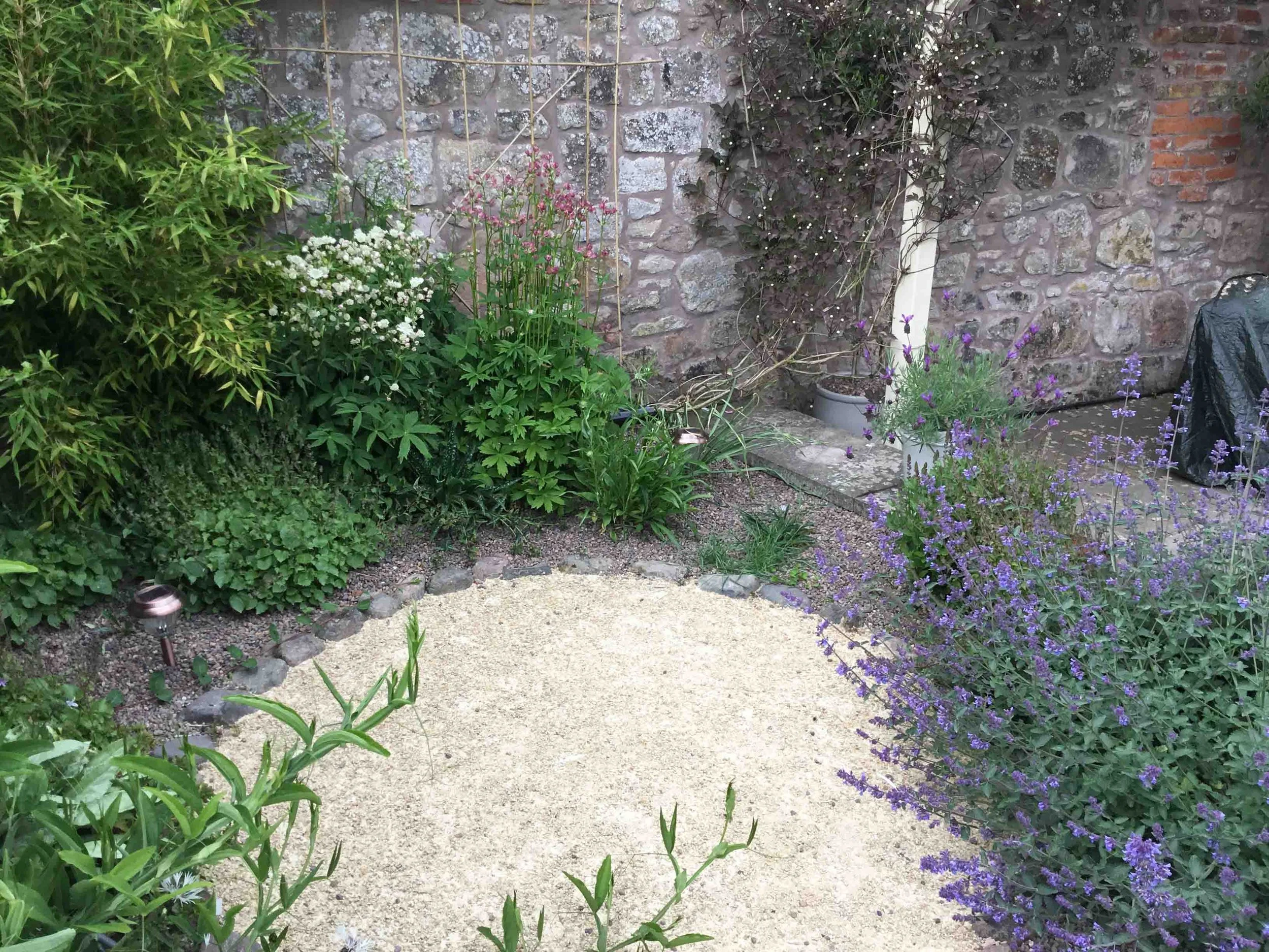 Castle-Terrace-garden-design-clare-ryan-berwick-1098.jpg
