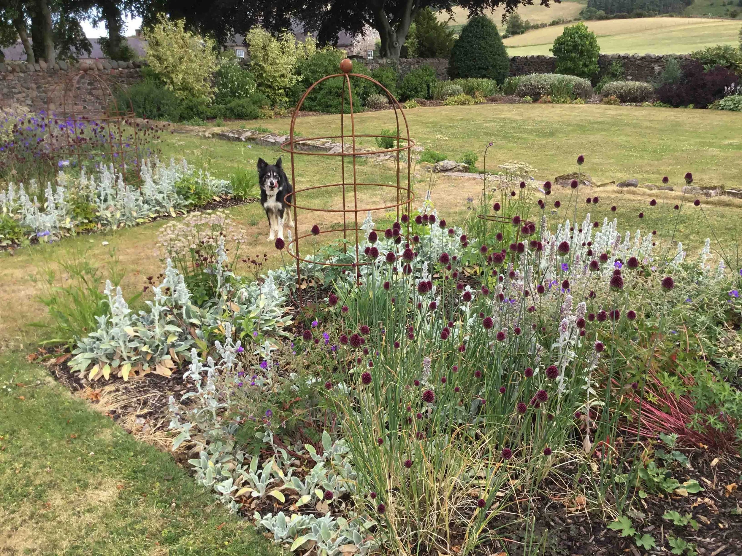 west-newton-garden-designs-clare-ryan-estate-northumberland-1174.jpg