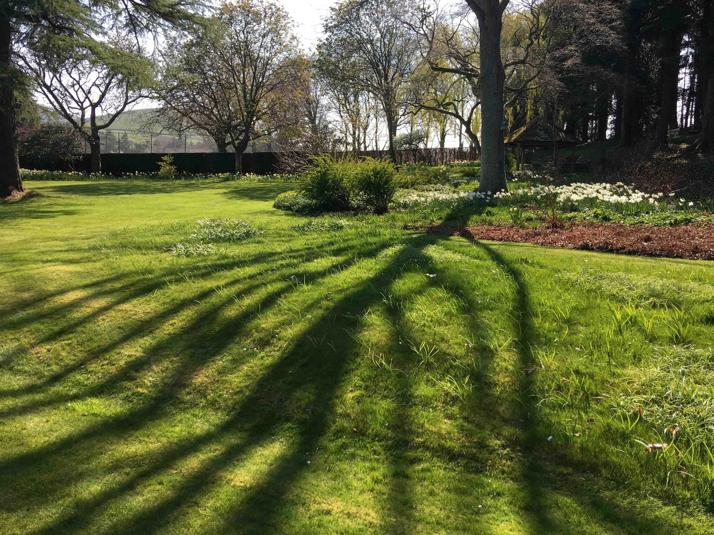 west-newton-garden-designs-clare-ryan-estate-northumberland-2534.jpg