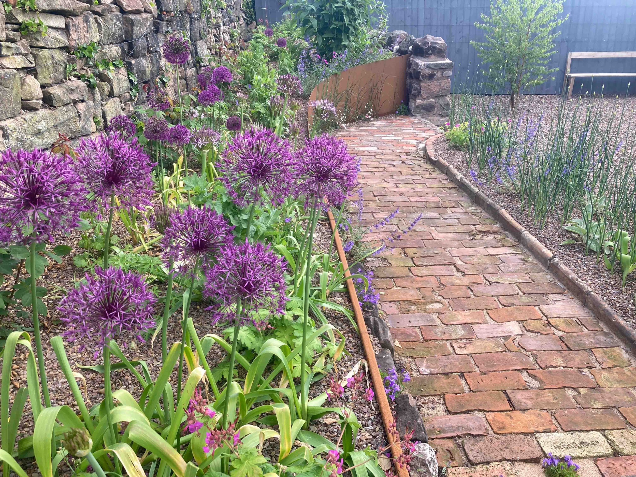 number6-garden-designer-clare-ryan-wooler-5050.jpg
