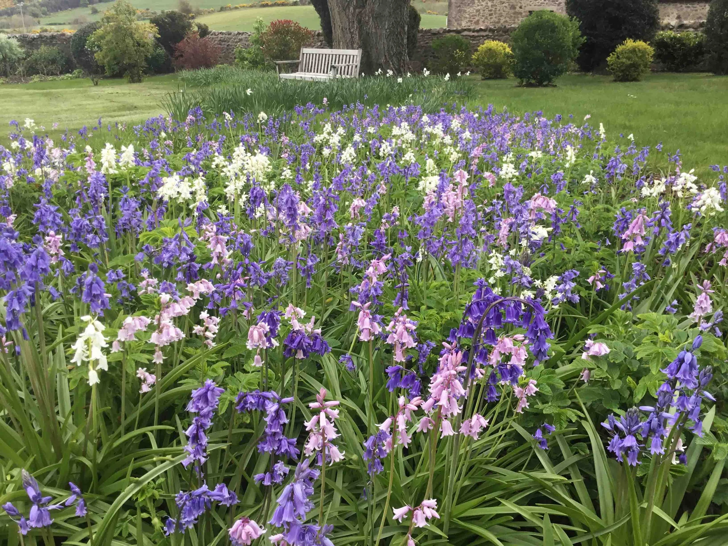 west-newton-garden-designs-clare-ryan-estate-northumberland-2100.jpg