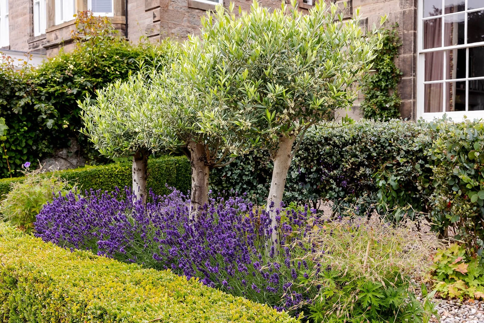 Garden image from Clare Ryans Gardens Branding Shoot in Northumberland