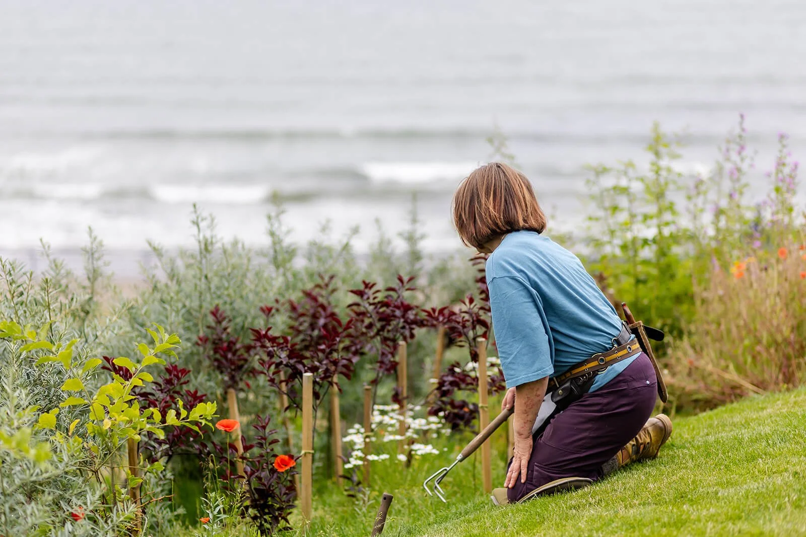clare in newly established coastal garden on northumberland coast