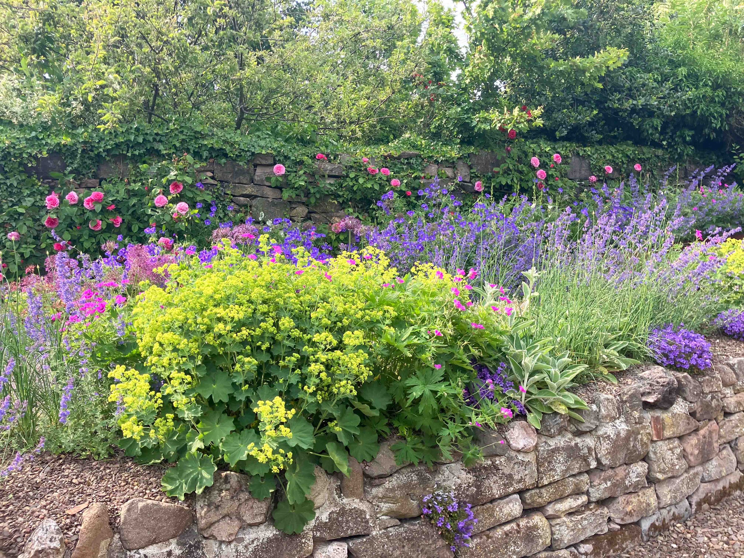 number6-garden-designer-clare-ryan-wooler-2076.jpg