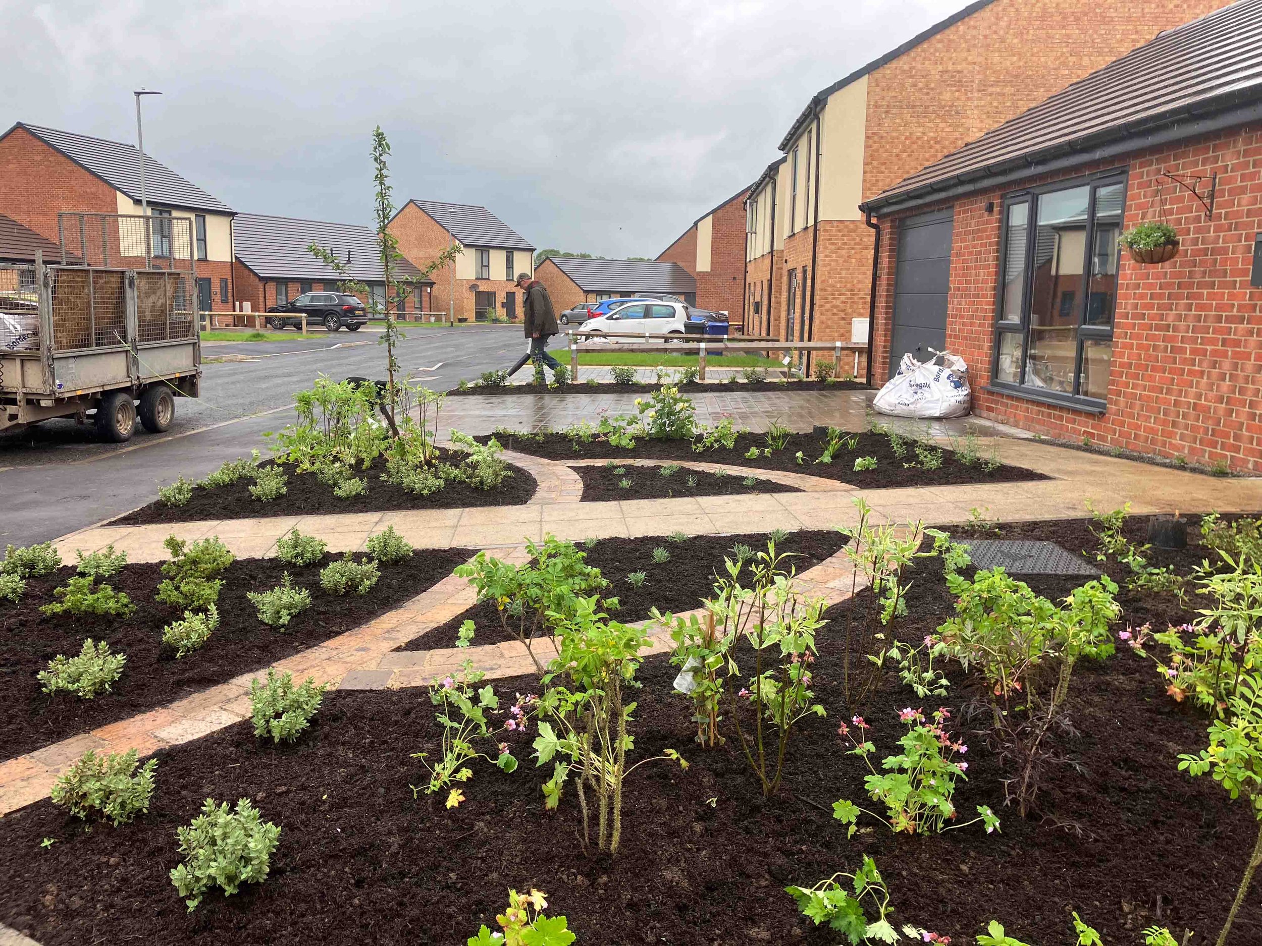 kings-mead-wooler-garden-designer-clare-ryan-9371.jpg