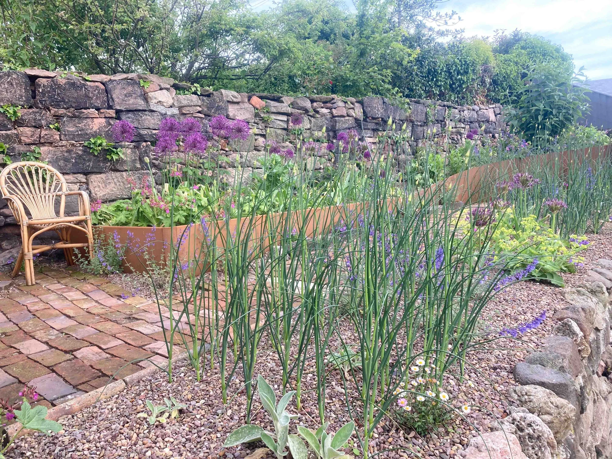 number6-garden-designer-clare-ryan-wooler-5042.jpg