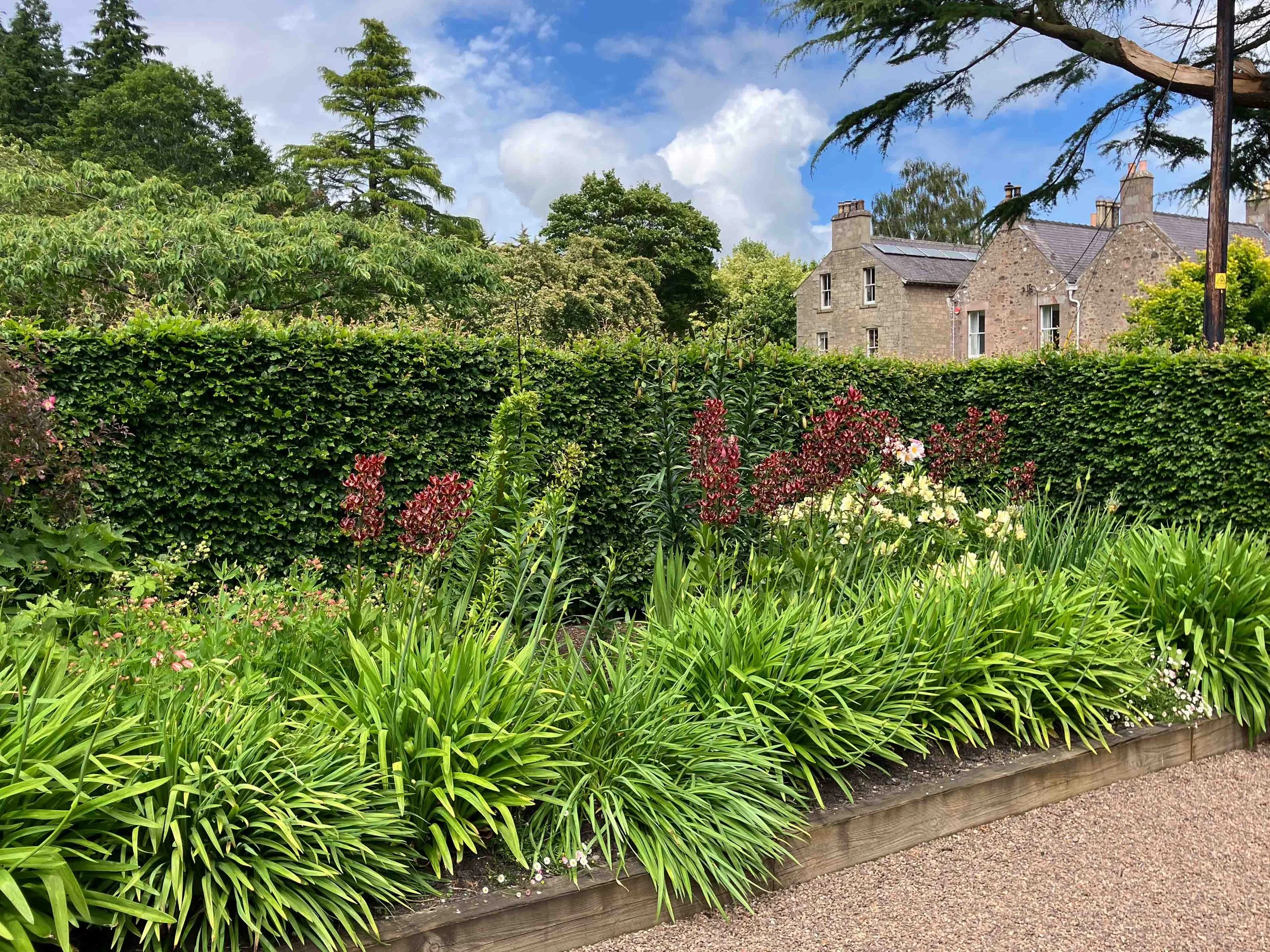 west-newton-garden-designs-clare-ryan-estate-northumberland-9946.jpg
