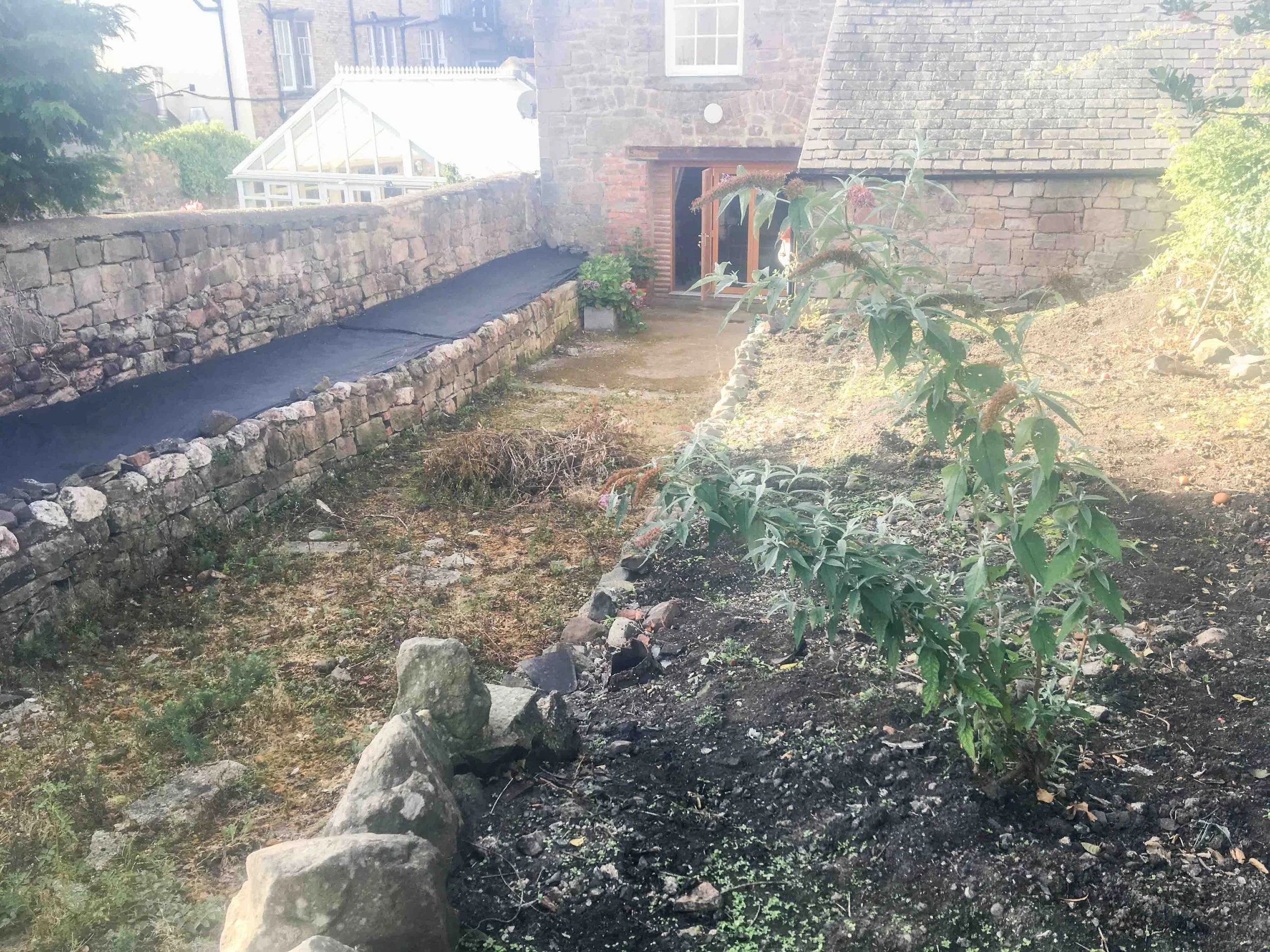 number6-garden-designer-clare-ryan-wooler-1851.jpg