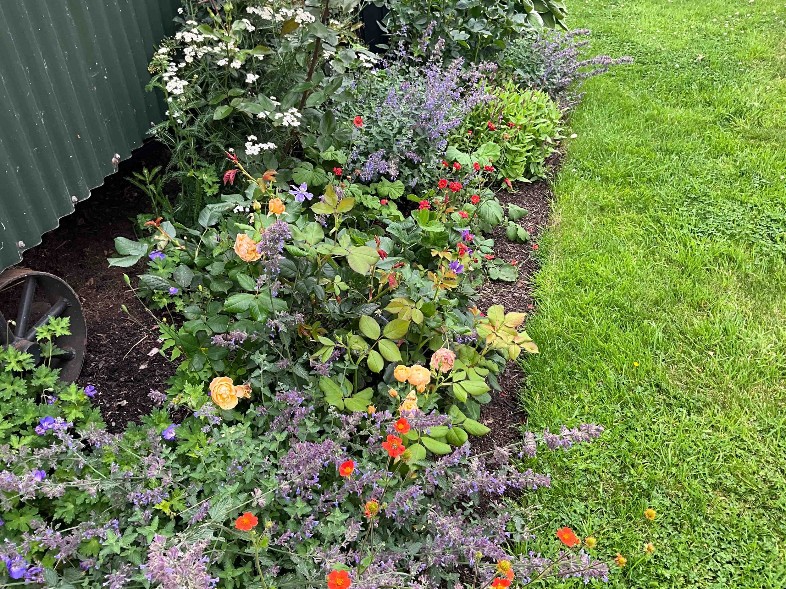 home-garden-design-clare-ryan-0060.jpg