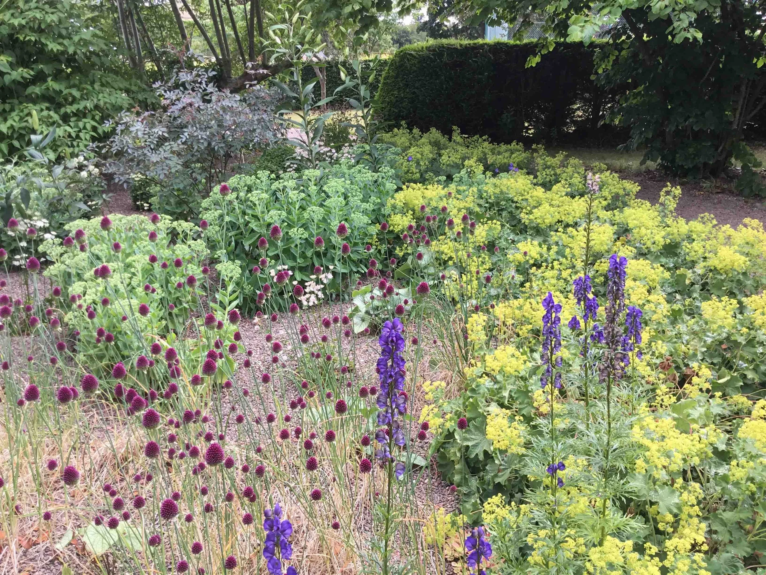 west-newton-garden-designs-clare-ryan-estate-northumberland-1220.jpg
