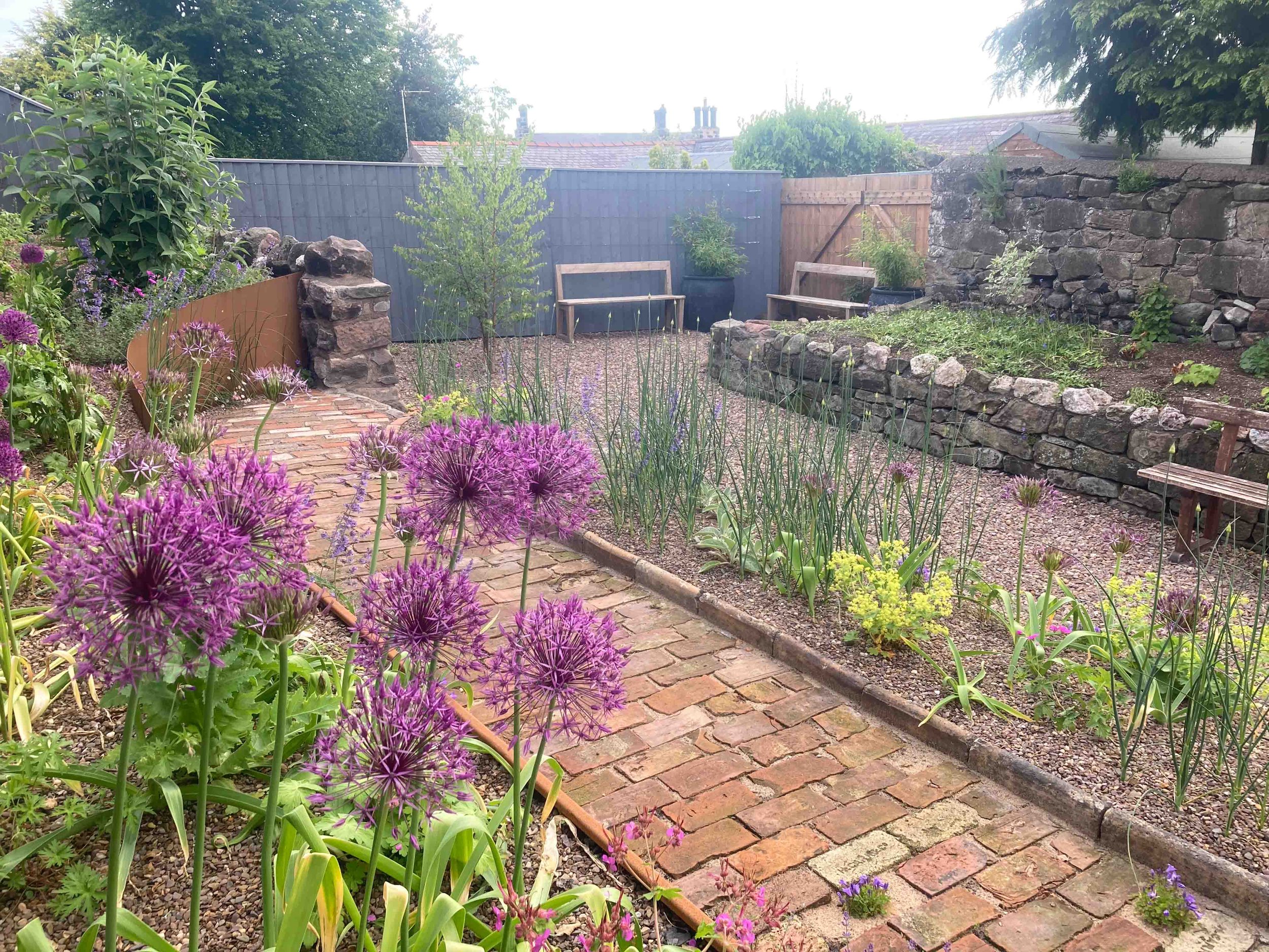 number6-garden-designer-clare-ryan-wooler-5052.jpg