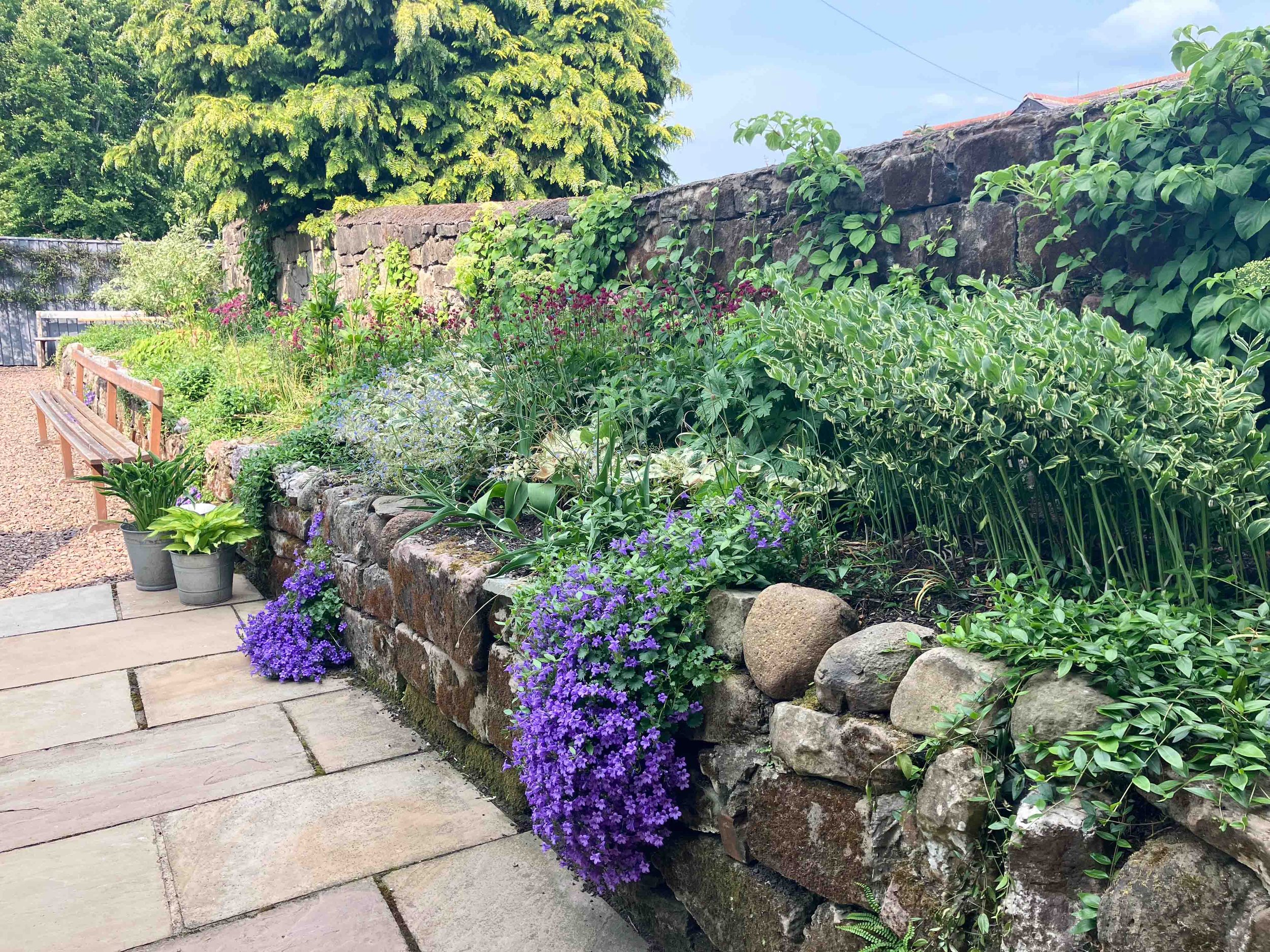 number6-garden-designer-clare-ryan-wooler-3.jpg