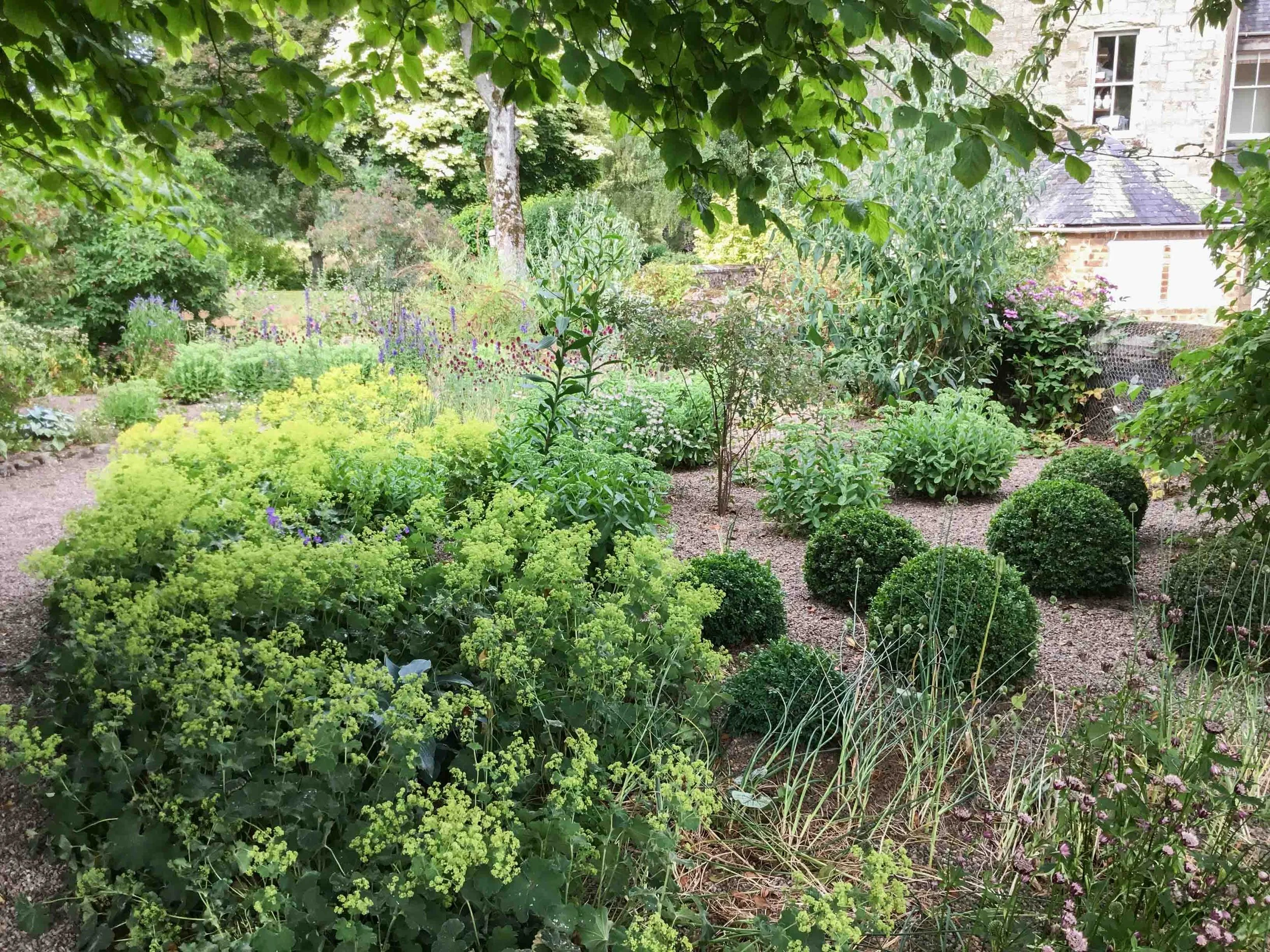 west-newton-garden-designs-clare-ryan-estate-northumberland-1249.jpg