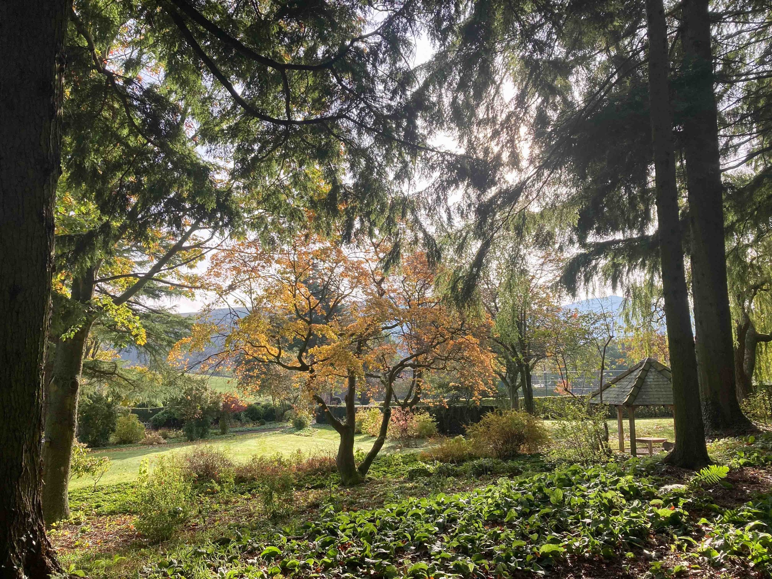 west-newton-garden-designs-clare-ryan-estate-northumberland-8218.jpg
