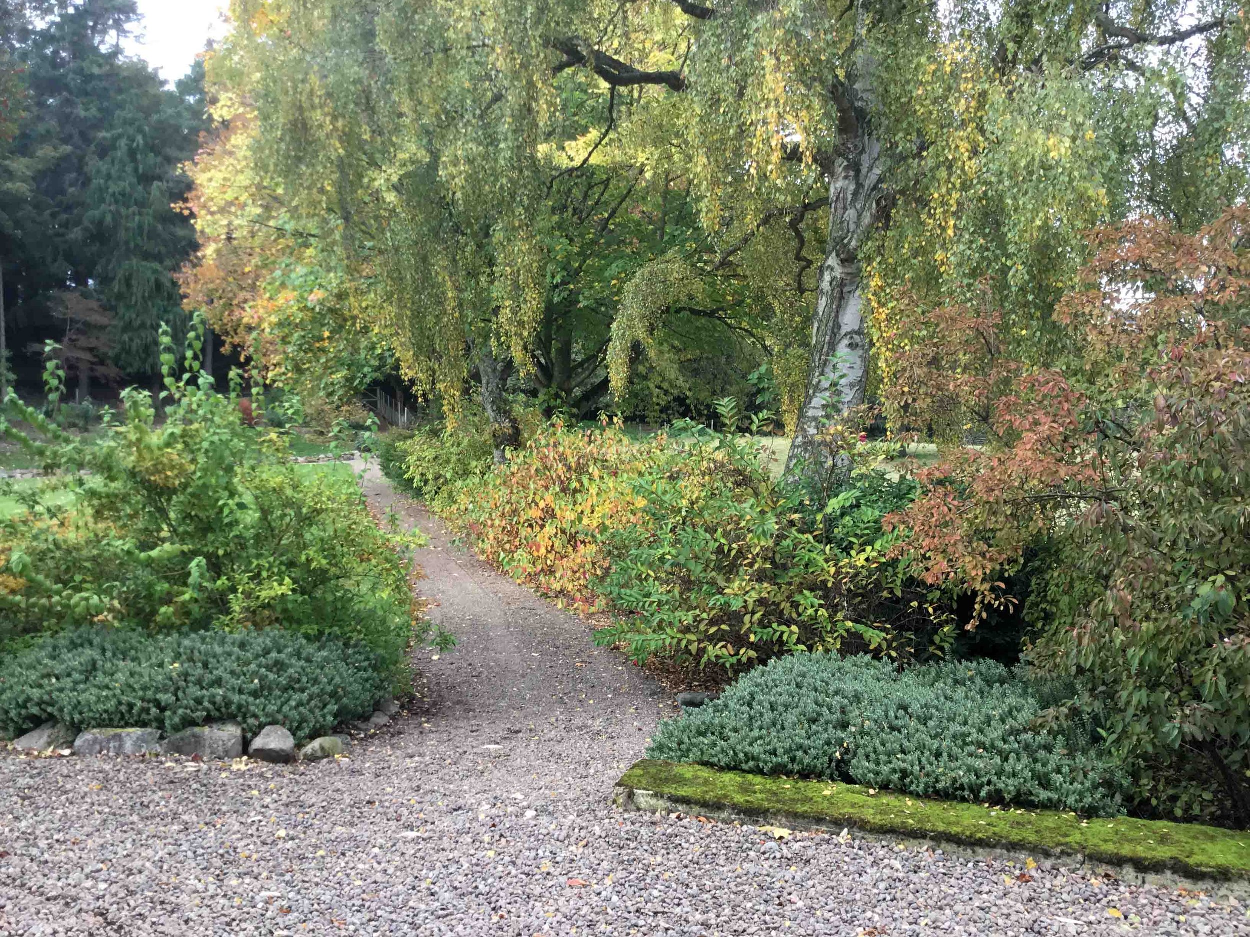west-newton-garden-designs-clare-ryan-estate-northumberland-1900.jpg