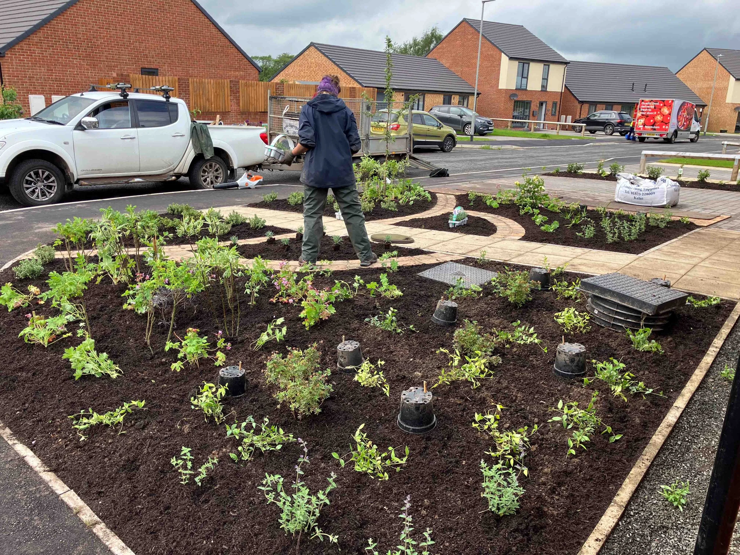 kings-mead-wooler-garden-designer-clare-ryan-9346.jpg