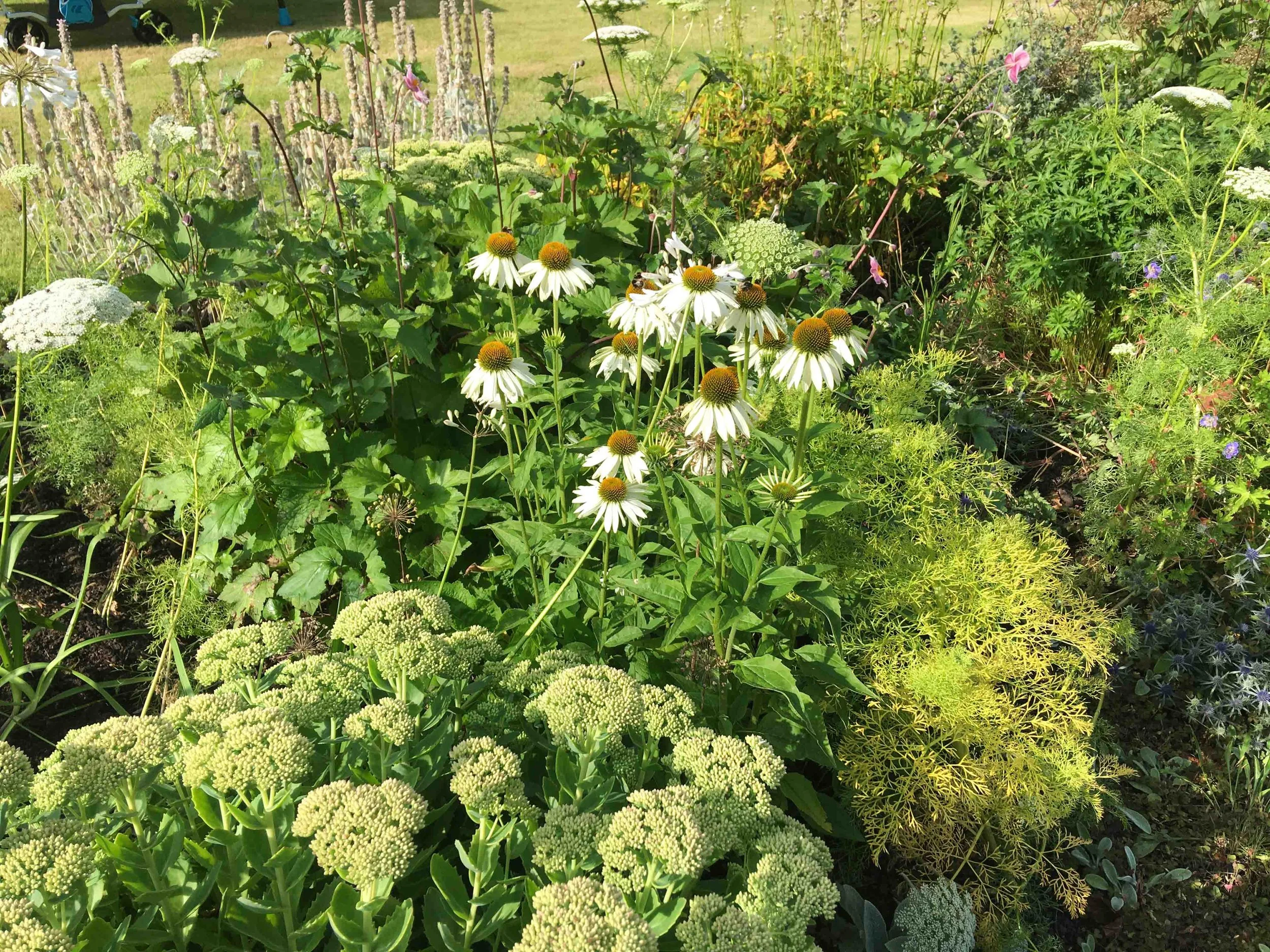 west-newton-garden-designs-clare-ryan-estate-northumberland-3045.jpg