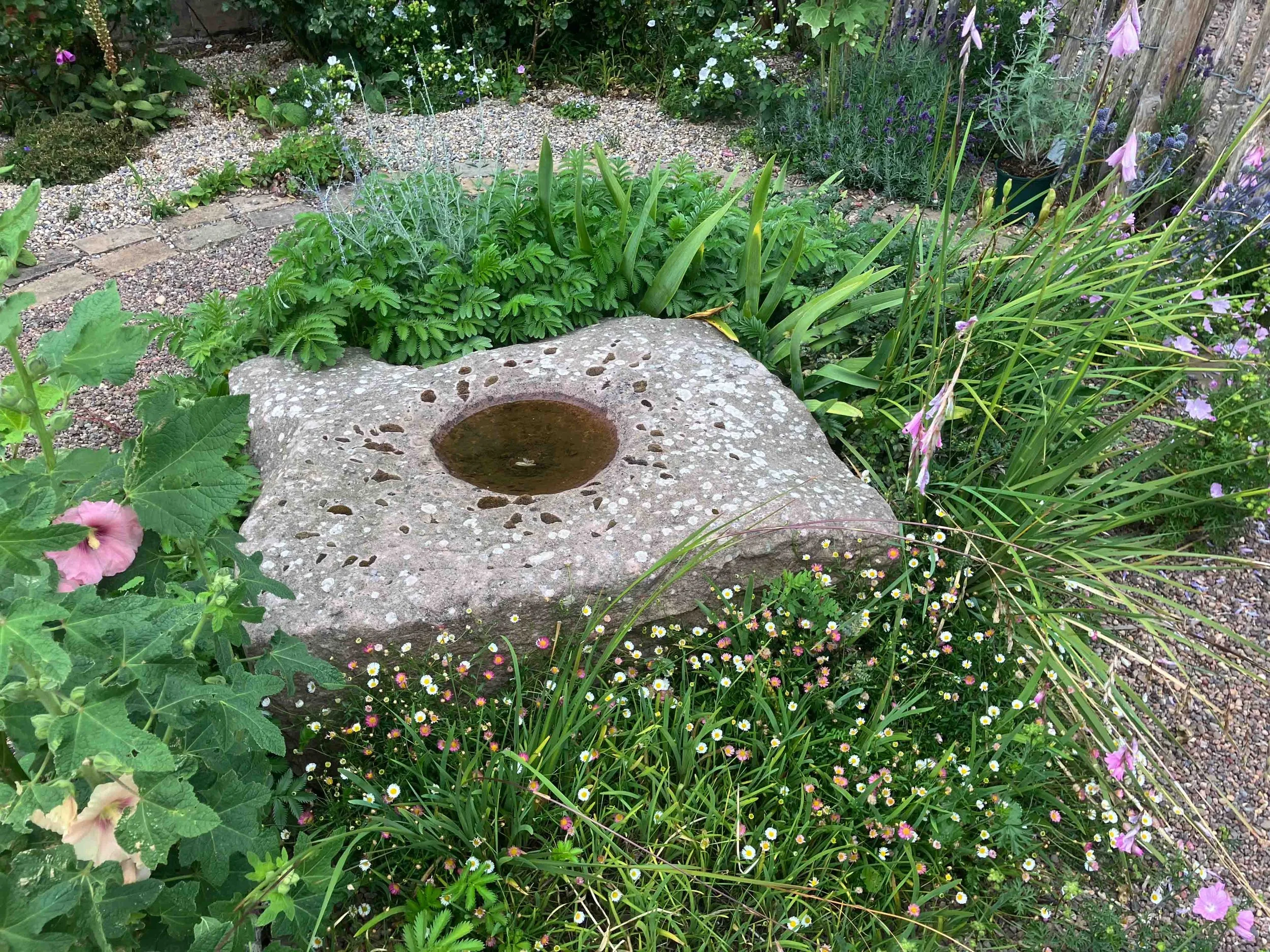 home-garden-design-clare-ryan-2579.jpg