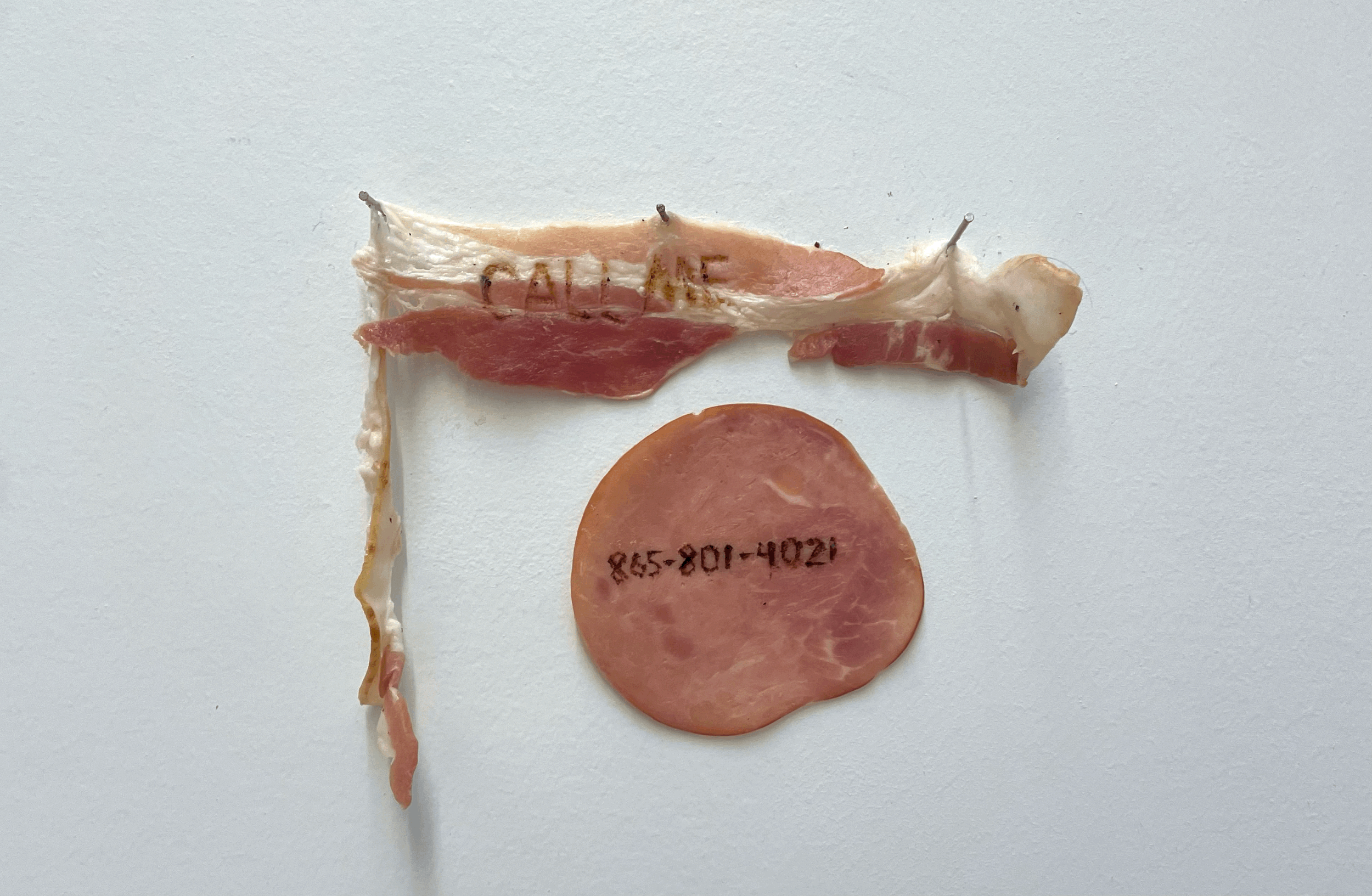 Meat Burn VIII