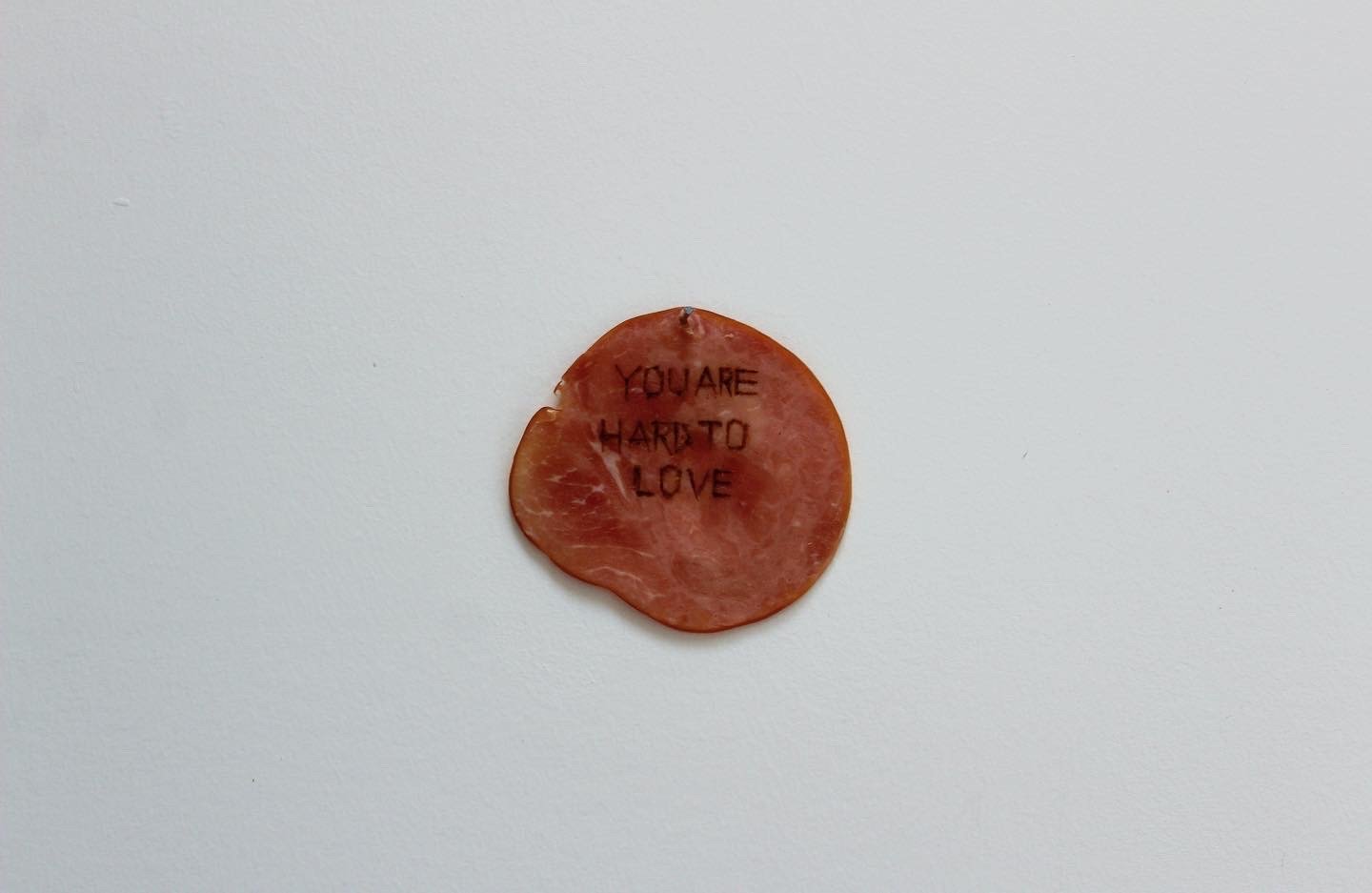 Meat Burn XVI