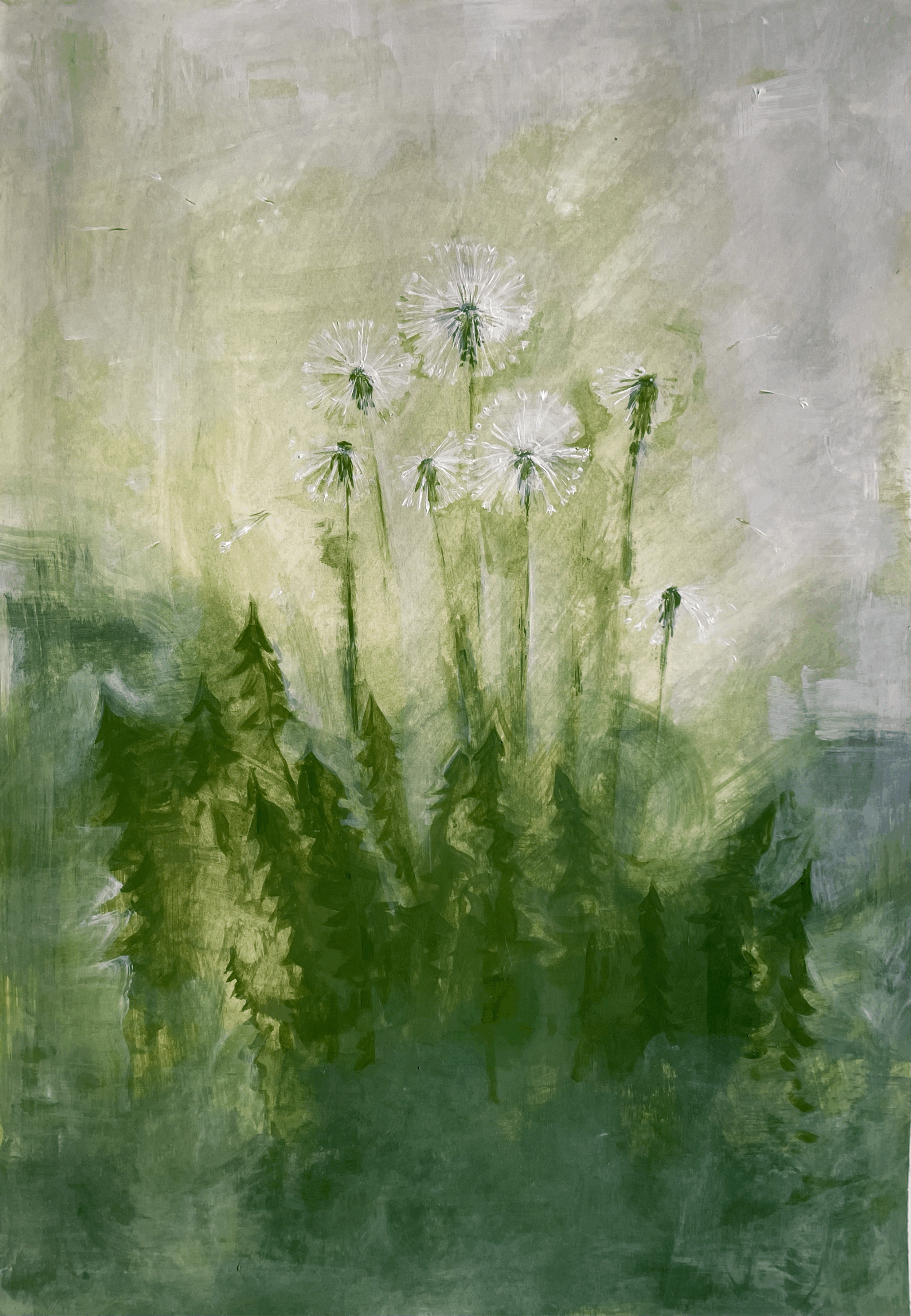 Dandelions