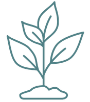 Simple line drawing of a small plant with three leaves growing from the soil