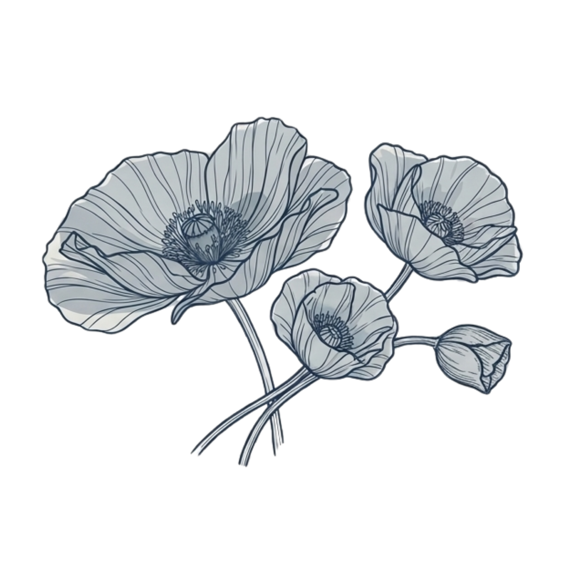 Line art drawing of three poppy flowers with detailed petals and centers, arranged in a cluster.